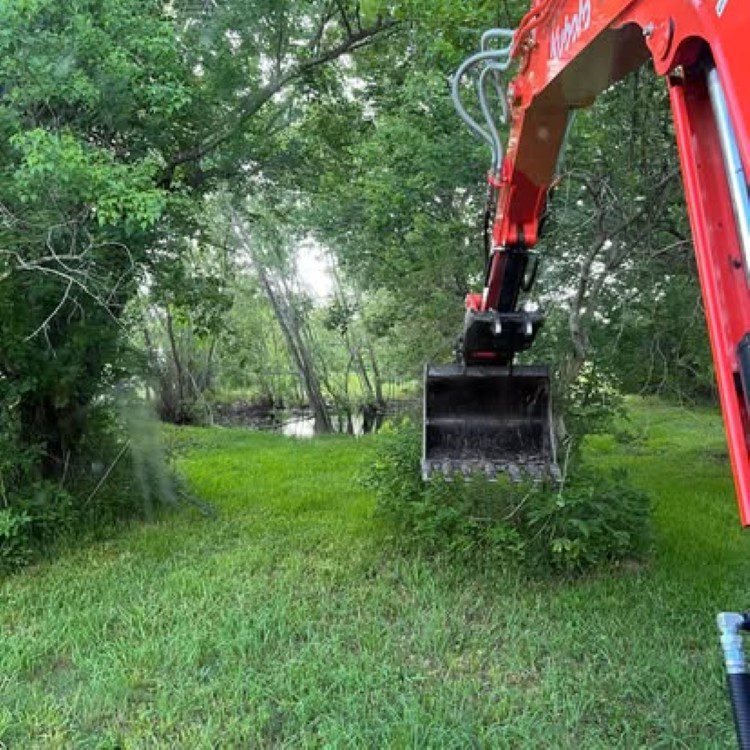 Land Clearing