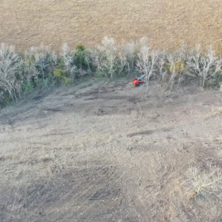 Land Clearing