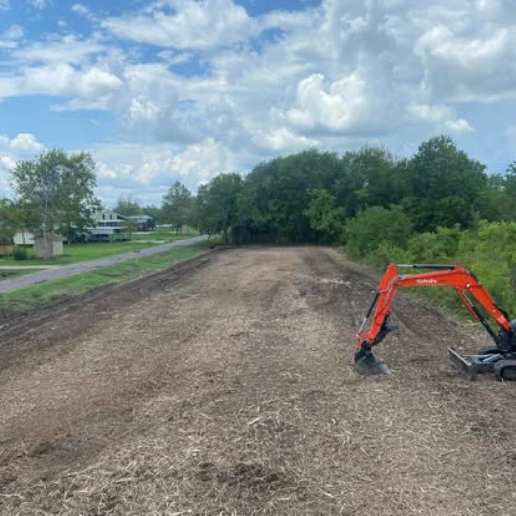 Land Clearing Land Clearing