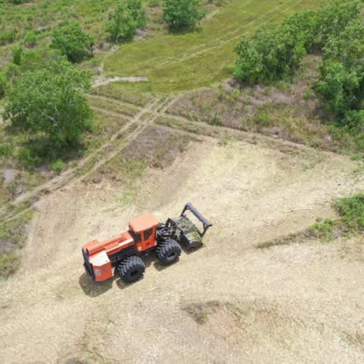 Land Clearing Land Clearing
