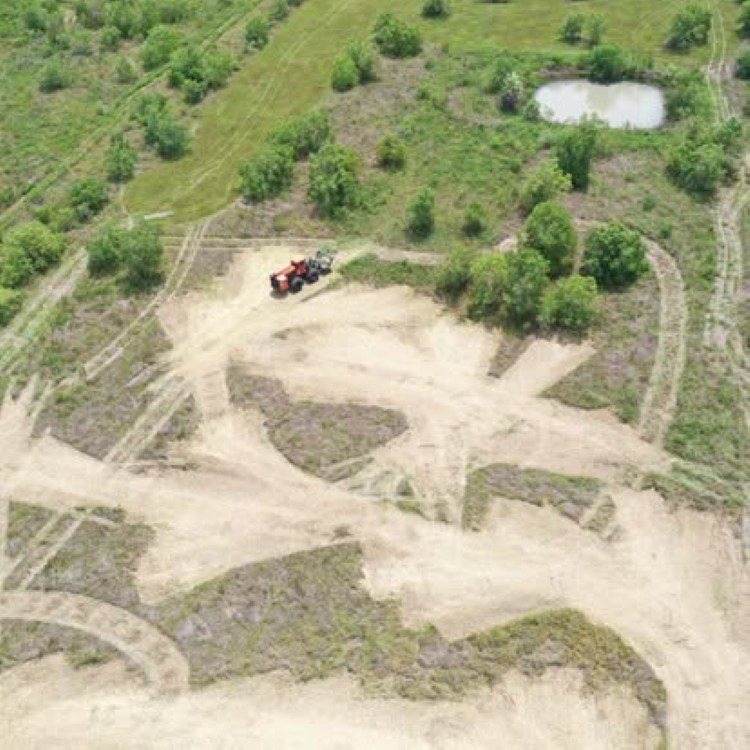 Land Clearing Land Clearing