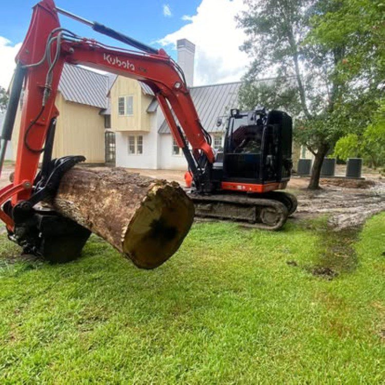 Land Clearing Land Clearing