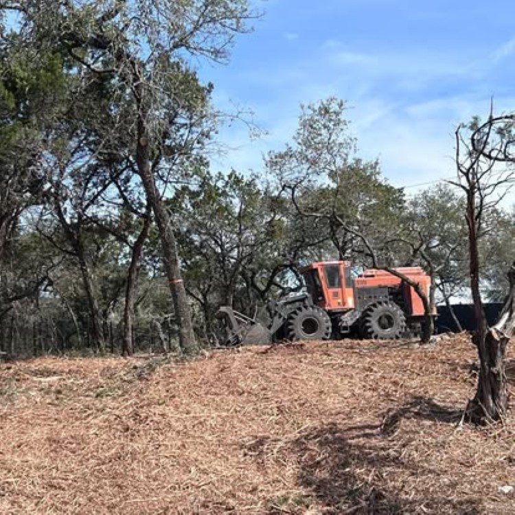 Land Clearing
