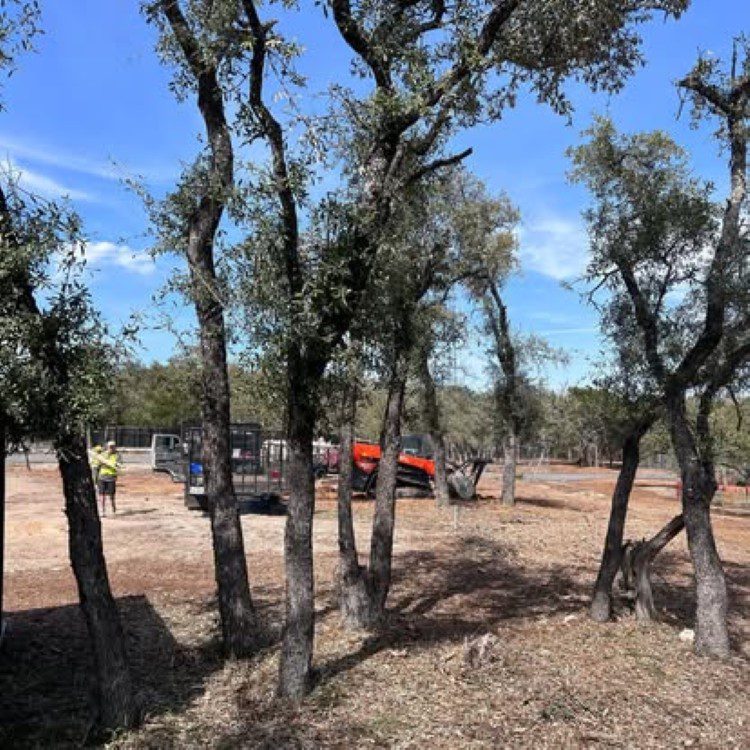 Land Clearing