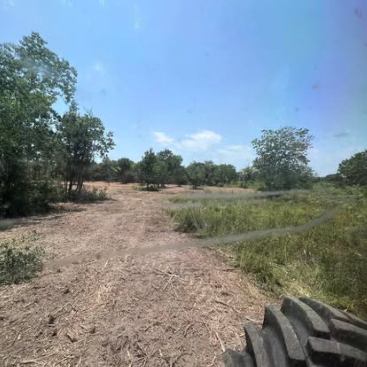 Land Clearing